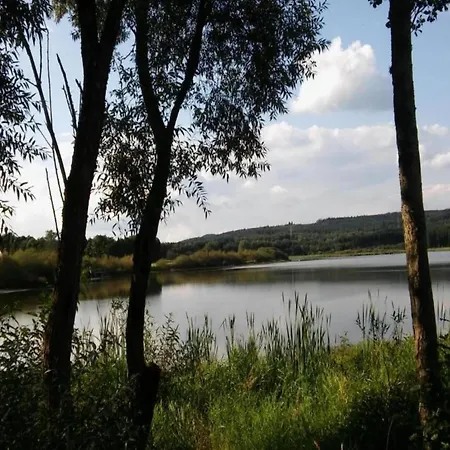 House Direct On Forest Edge For Alone *