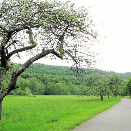 House Direct On Forest Edge For Alone Ulmen